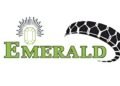 Emerald Tyre Manufacturers Limited IPO Opens on December 05, 2024