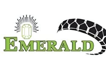 Emerald Tyre Manufacturers Limited IPO Opens on December 05, 2024