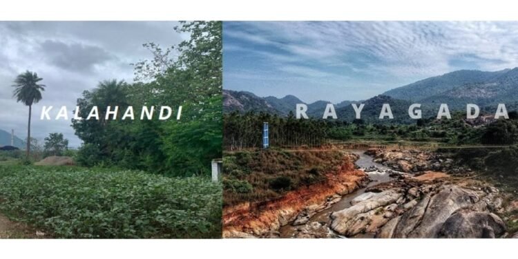 Sijimali Bauxite Block Poised To Script Socio-Economic Transformation Saga In Odisha