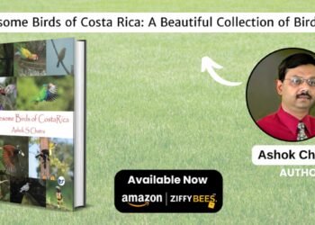 Awesome Birds of Costa Rica- A Celebration of Avian Wonders