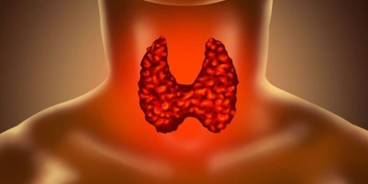 Throat Cancer vs. Common Cold: Understanding the Difference in Symptoms