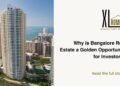 The XL Homes: Your Go-To Consultant Among Real Estate Companies in Bangalore