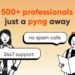 Tired of Fake Profiles? PYNG Ensures Only the Best, Verified Professionals Make the Cut