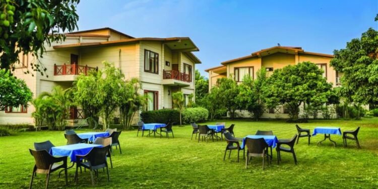 OYO celebrates Holi and India’s Champions Trophy victory with 2000 free stays daily