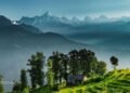 Uttarakhand Tour Packages Might Be Cheaper Than You Think with Local Travel Experts