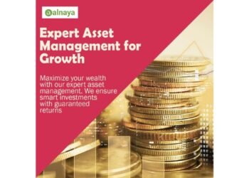 Alnaya CSP LLC Review: Investment, Contact Center and Real Estate