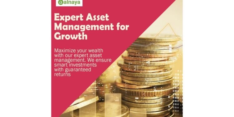 Alnaya CSP LLC Review: Investment, Contact Center and Real Estate