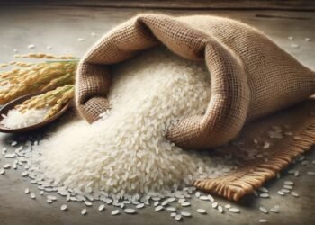 Bagadiya Brothers Pvt Ltd Wins Four Rice Export Tenders with Bangladesh