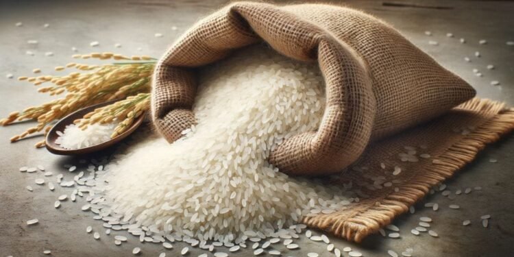 Bagadiya Brothers Pvt Ltd Wins Four Rice Export Tenders with Bangladesh