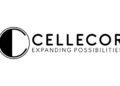 Cellecor doubles Revenue to cross Rs 1,000 Crore in FY25; Sets Sights on Rs 500+ Crore Growth again in FY26