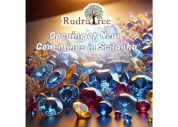 RudraTree Expands Sri Lanka Operations with New Blue Sapphire and Yellow Sapphire Mines