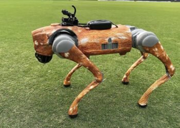 wTVision Creates Big Impact At IPL With Its Robotic Dog Camera, A Spectacular Tech Innovation