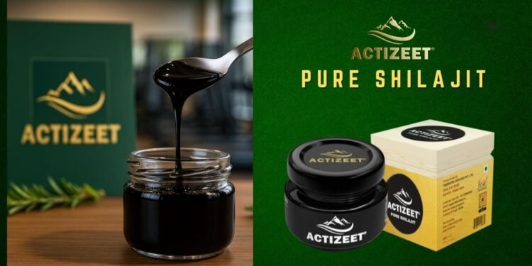 ACTIZEET Recognized Among Top Shilajit Brands in India for 2025 by Industry Experts