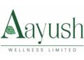 Aayush Wellness Limited’s stock price rises 80% in 3 months, 500% in 1 year, and 5000% in 2 years.