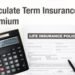 How to Use a Term Insurance Calculator to Analyse Investment Growth