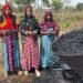 KriSHE Carbon Transforms Rural India with SoilBox Climate Action