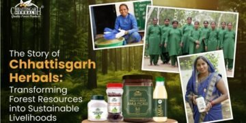 The Story of Chhattisgarh Herbals: Transforming Forest Resources into Sustainable Livelihoods