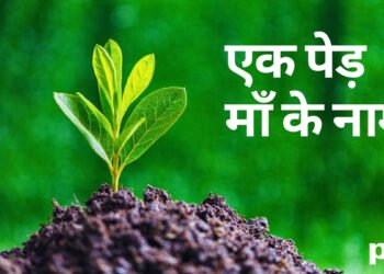 PM Modi to Head Tree Plantation Drive Under ‘Ek Ped Maa Ke Naam’ on World Environment Day