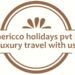 Americco Holidays Pvt. Ltd. – Award-Winning Excellence in Global Travel Solutions