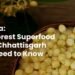 Mahua: The Forest Superfood from Chhattisgarh You Need to Know About