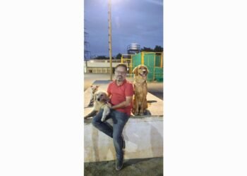 From Code to Cozy Dog Hostel: How a Family of IT Pros Built Bangalore’s Most Trusted Pet Resort