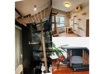 My Dog Slept Below My Bed or shares my bed”— That’s When I Realised Something Was Wrong