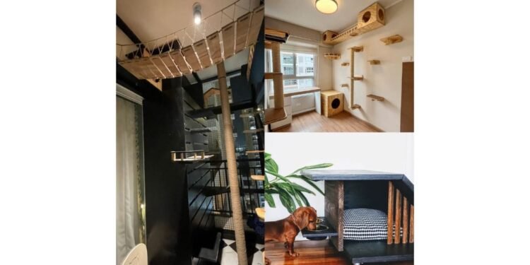 My Dog Slept Below My Bed or shares my bed”— That’s When I Realised Something Was Wrong