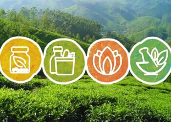 India’s Healing Comeback: How AYUSH Is Quietly Winning the Healthcare Game with Ancient Wisdom