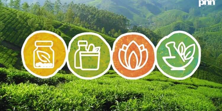 India’s Healing Comeback: How AYUSH Is Quietly Winning the Healthcare Game with Ancient Wisdom