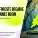 Where Forests Breathe and Futures Begin: Odisha’s Quiet Digital Revolution