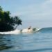 Costa Rica Surf Camp Offers Waves, Coaching, and Coastal Adventure