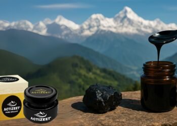 Authentic Shilajit: Why ACTIZEET Leads the Market