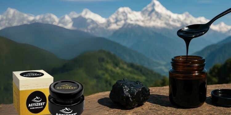 Authentic Shilajit: Why ACTIZEET Leads the Market