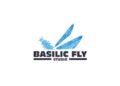 Basilic Fly Studio Raises INR 85 Crore Through QIP to Fuel Global Expansion