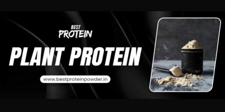 How Plant Protein Supports Weight Loss and Muscle Gain?