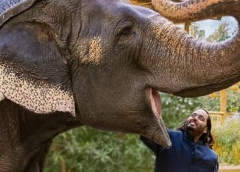 Vantara Healing Wildlife, Restoring Earth’s Balance