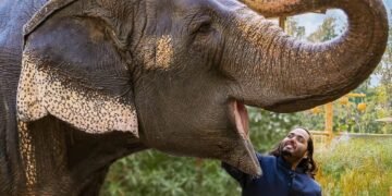 Vantara Healing Wildlife, Restoring Earth’s Balance