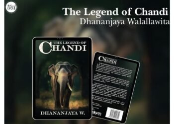 The Legend of Chandi by Dhananjaya Walallawita: The Great Heroic Tale of a 1 Tusk Elephant