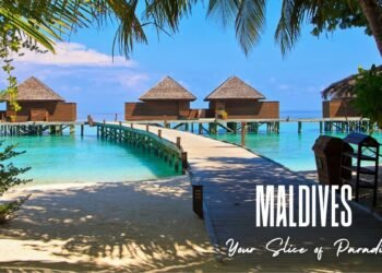 Eeka Bharat Launches Curated Luxury Tours Across India and Abroad: Unforgettable Journeys Await