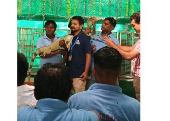 Dhun Charitable Trust, Dharmaj, and Daya Foundation, Karamsad Jointly Organize Unique Animal Welfare Program