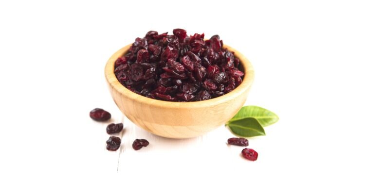 Gut Health’s Scarlet Secret: How Cranberries Shape Microbial Harmony