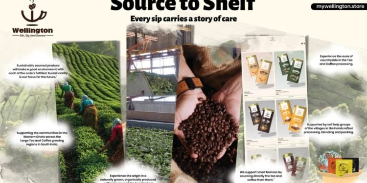 A Tea and Coffee Transformation Story from Wellington