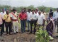 NTT DATA and SankalpTaru Foundation Transform 7-Acre Barren Land into Thriving Forest in Coimbatore