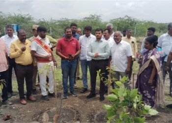 NTT DATA and SankalpTaru Foundation Transform 7-Acre Barren Land into Thriving Forest in Coimbatore