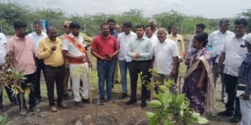 NTT DATA and SankalpTaru Foundation Transform 7-Acre Barren Land into Thriving Forest in Coimbatore