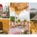 Meet Udaipur’s Top 3 Wedding Planners Behind the Most Beautiful Weddings in Udaipur
