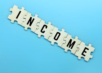 Understanding Term Insurance When You Don’t Have Income Proof