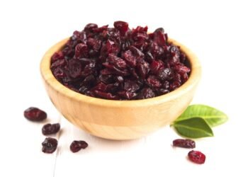 Beyond the Belly: How Cranberries Strengthen the Gut from Within