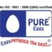 PURE Eggs: Leading the Way in Gujarat’s Eggs Industry
