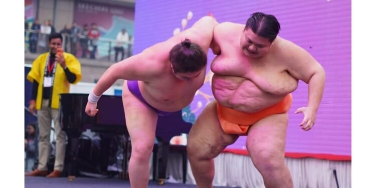 Konnichiwa Japan Festival 2025 Drew Over 60,000 Visitors as Delhi Celebrated a Weekend of Japanese Culture